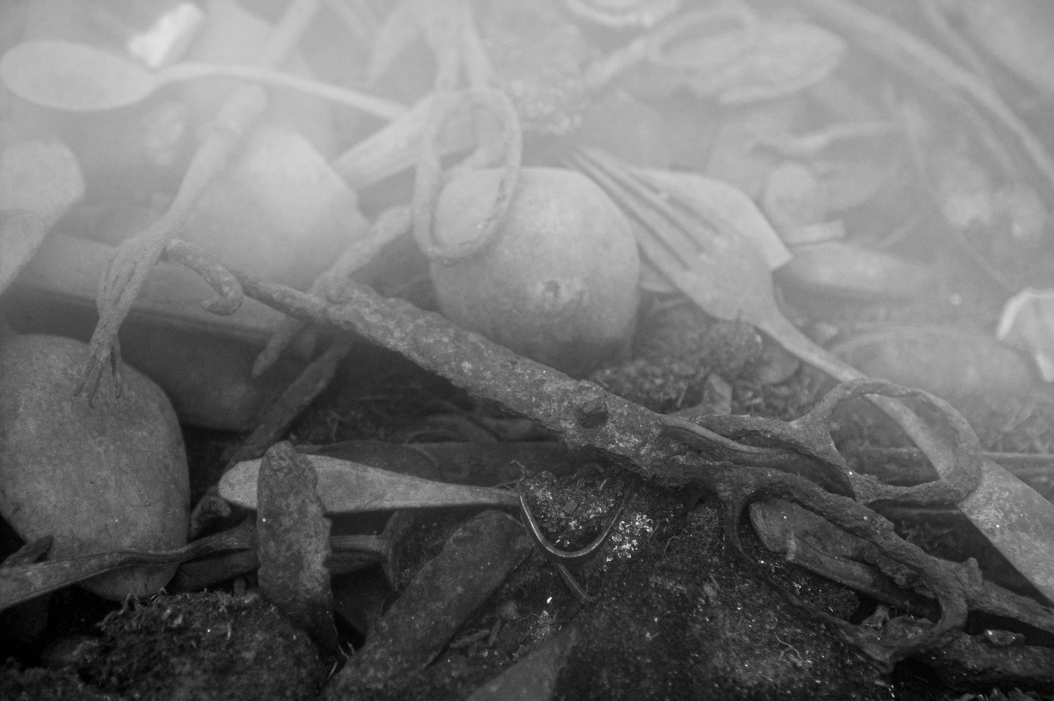  Frozen Life 1 